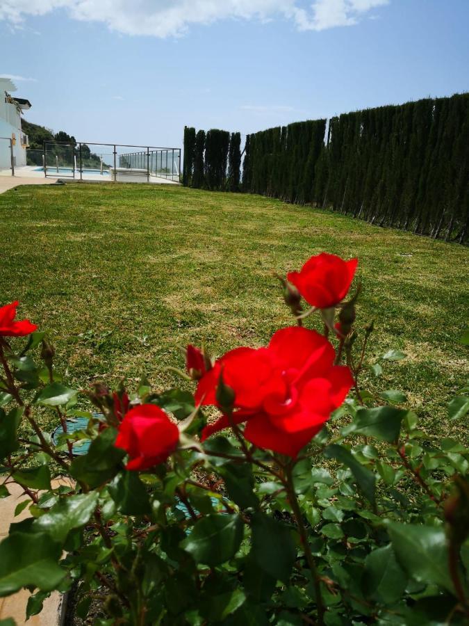 Dana I Eurogolf, Vistas, Wifi, Piscina Y Parking Daire Benalmádena Dış mekan fotoğraf